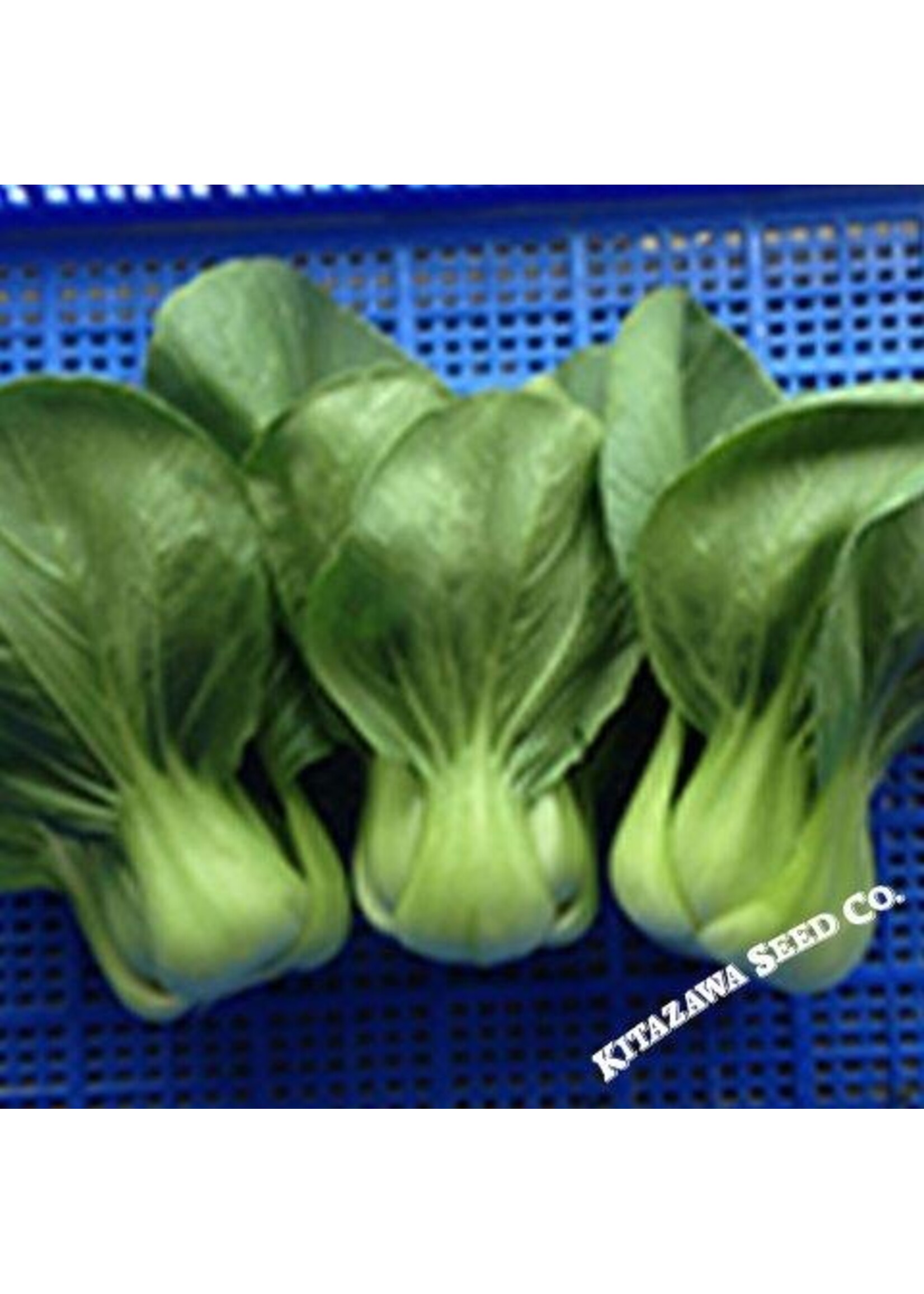 Kitazawa Seed Co. Pak Choi Cabbage - Shanghai