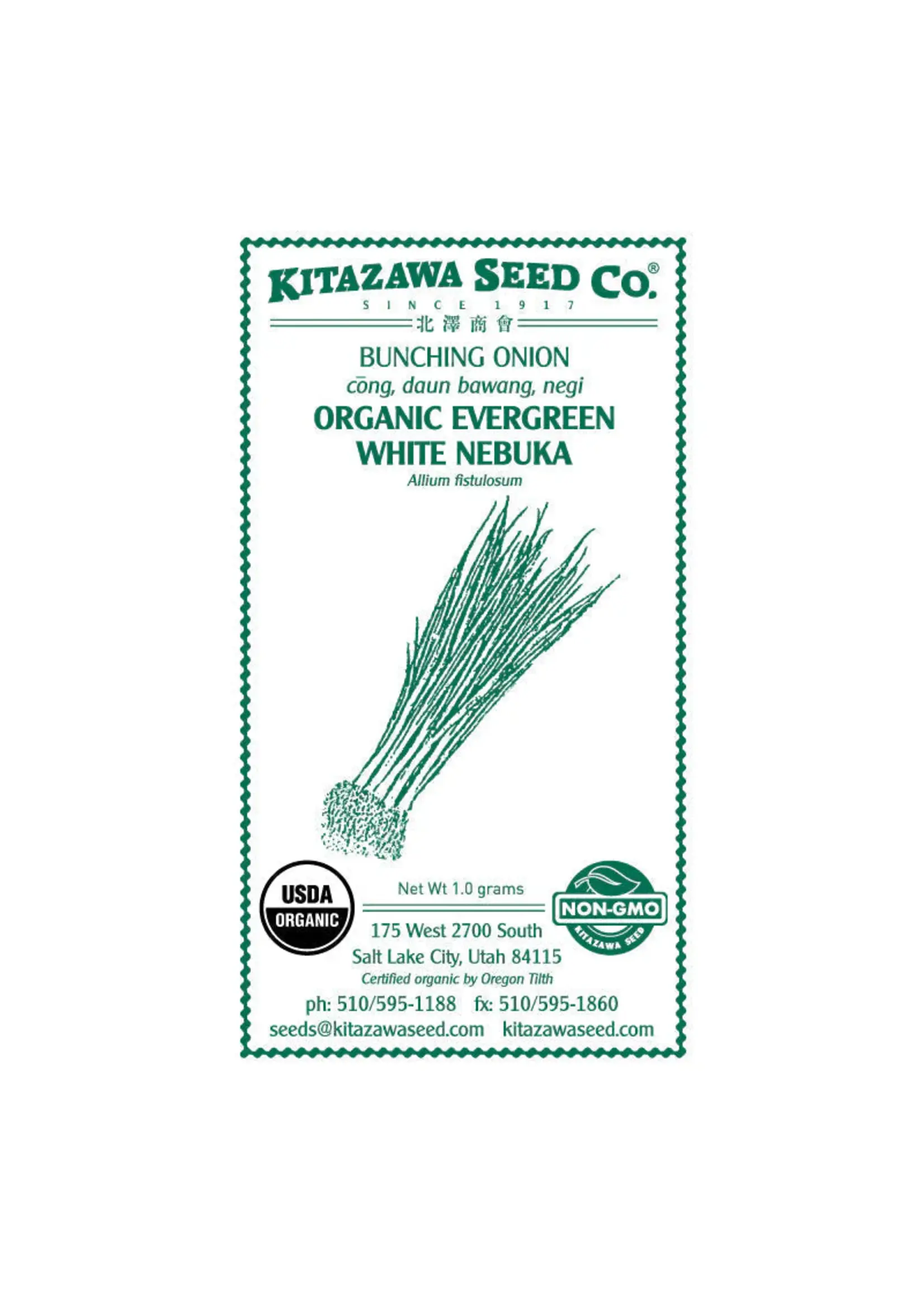 Kitazawa Seed Co. Bunching Onion - Evergreen White Nebuka Organic