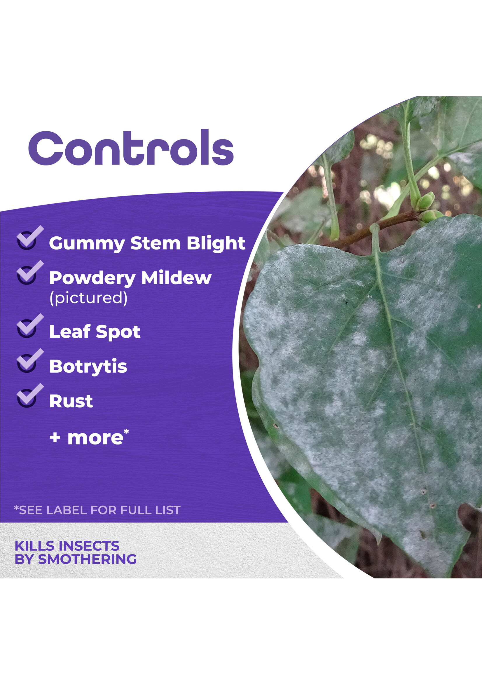 Bonide Bonide All Seasons Horticultural Dormant Spray Oil Gallon