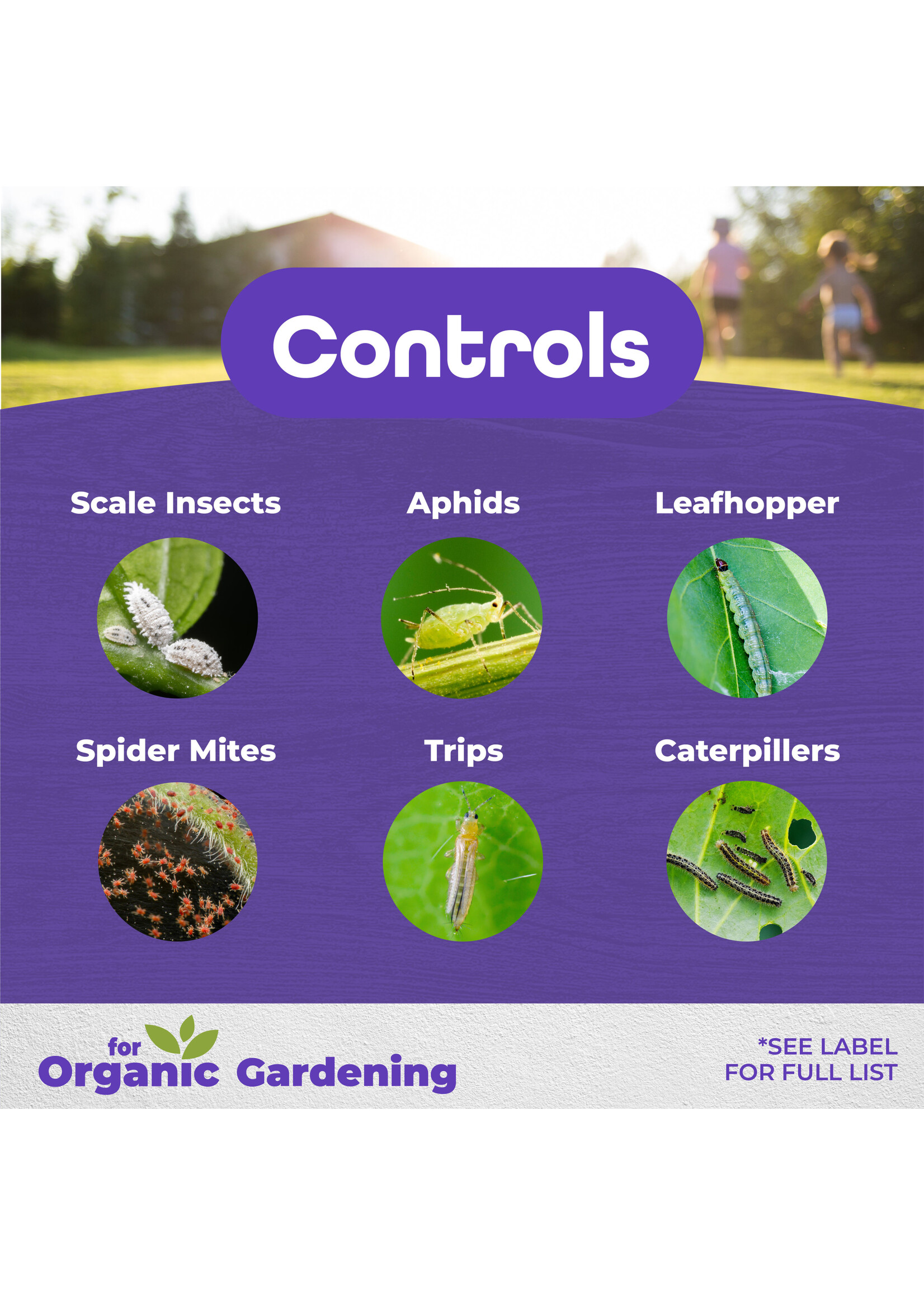 Bonide Bonide All Seasons Horticultural Dormant Spray Oil Gallon