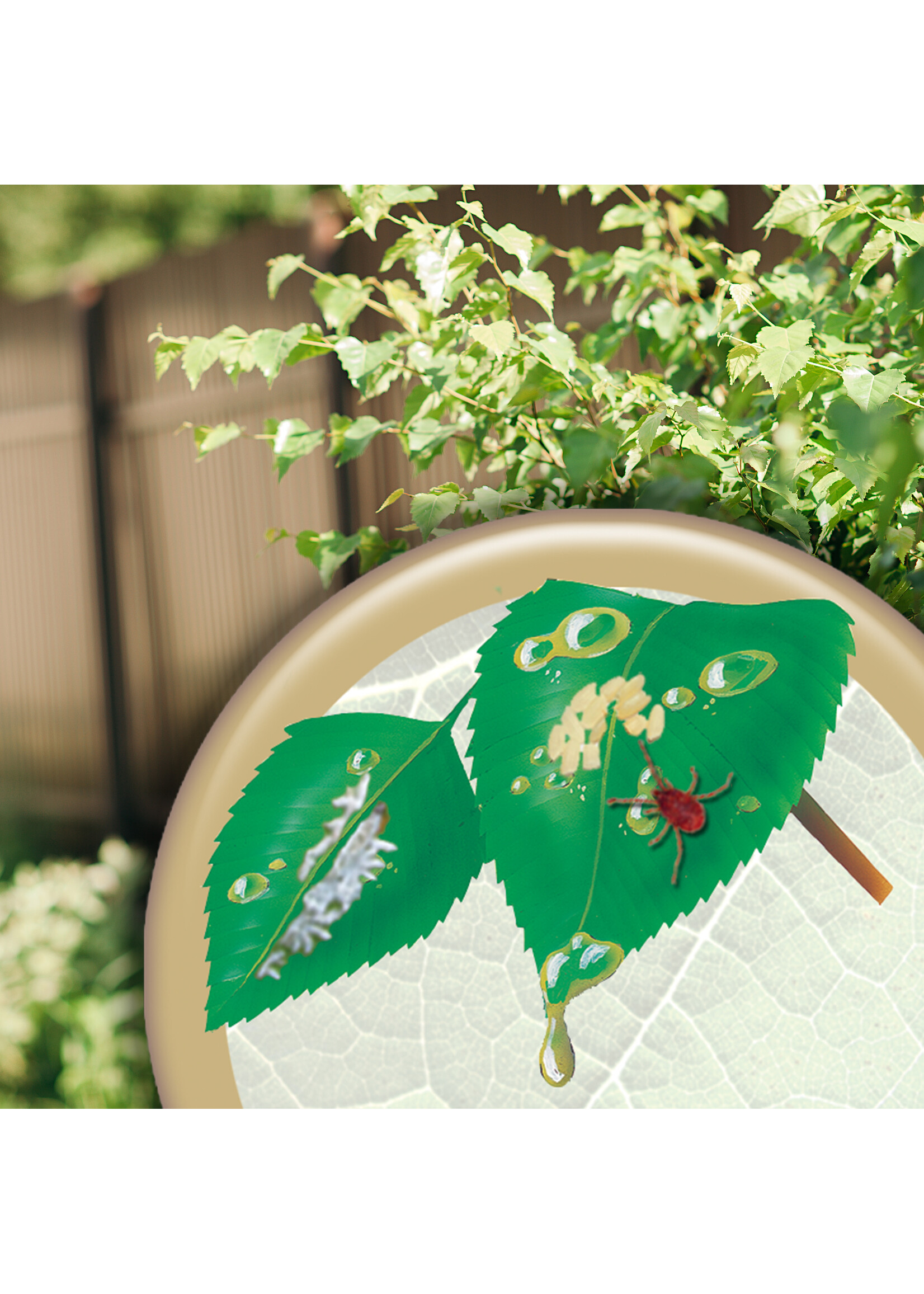 Bonide Bonide All Seasons Horticultural Dormant Spray Oil Gallon