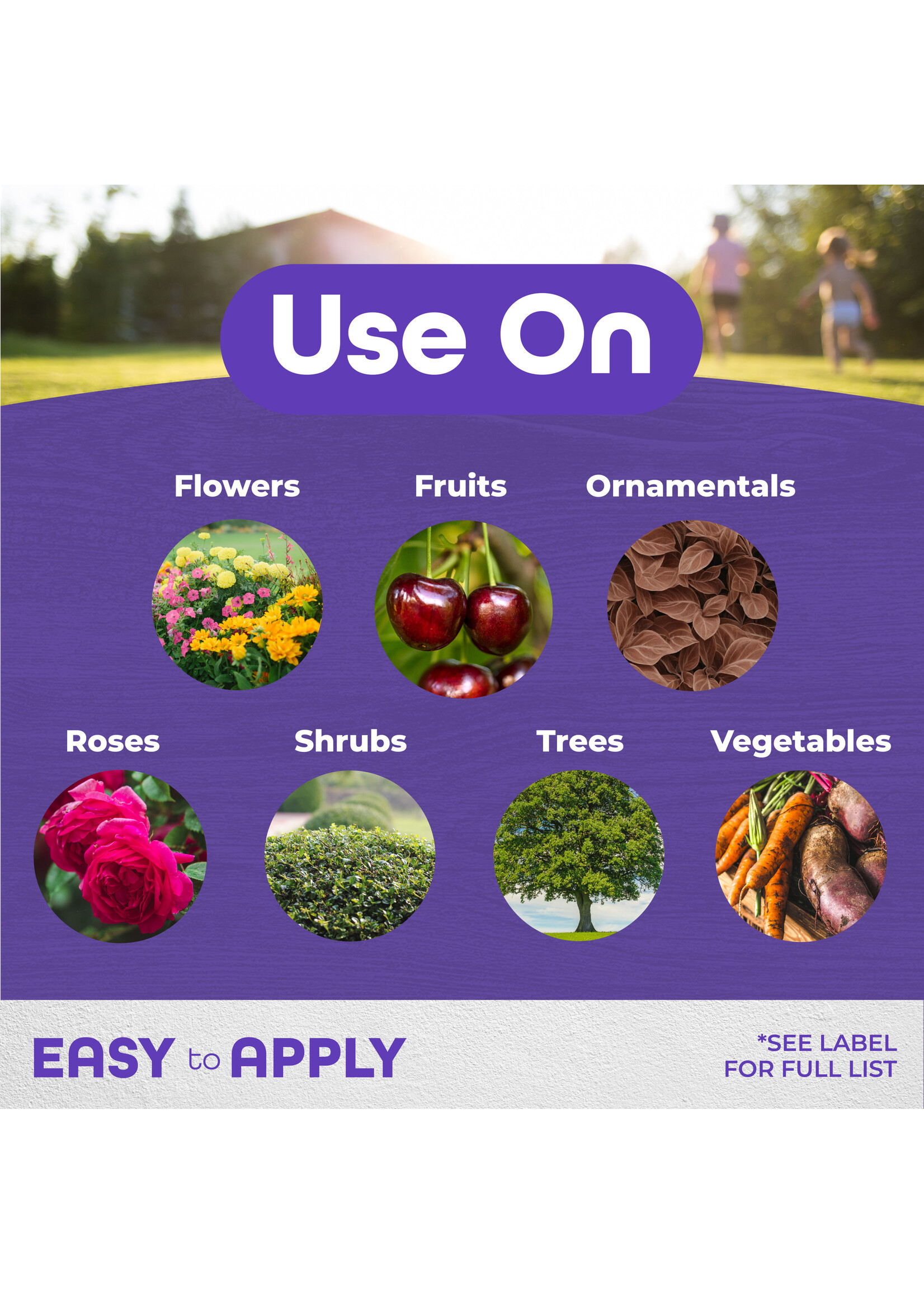 Bonide Bonide All Seasons Horticultural Dormant Spray Oil Gallon