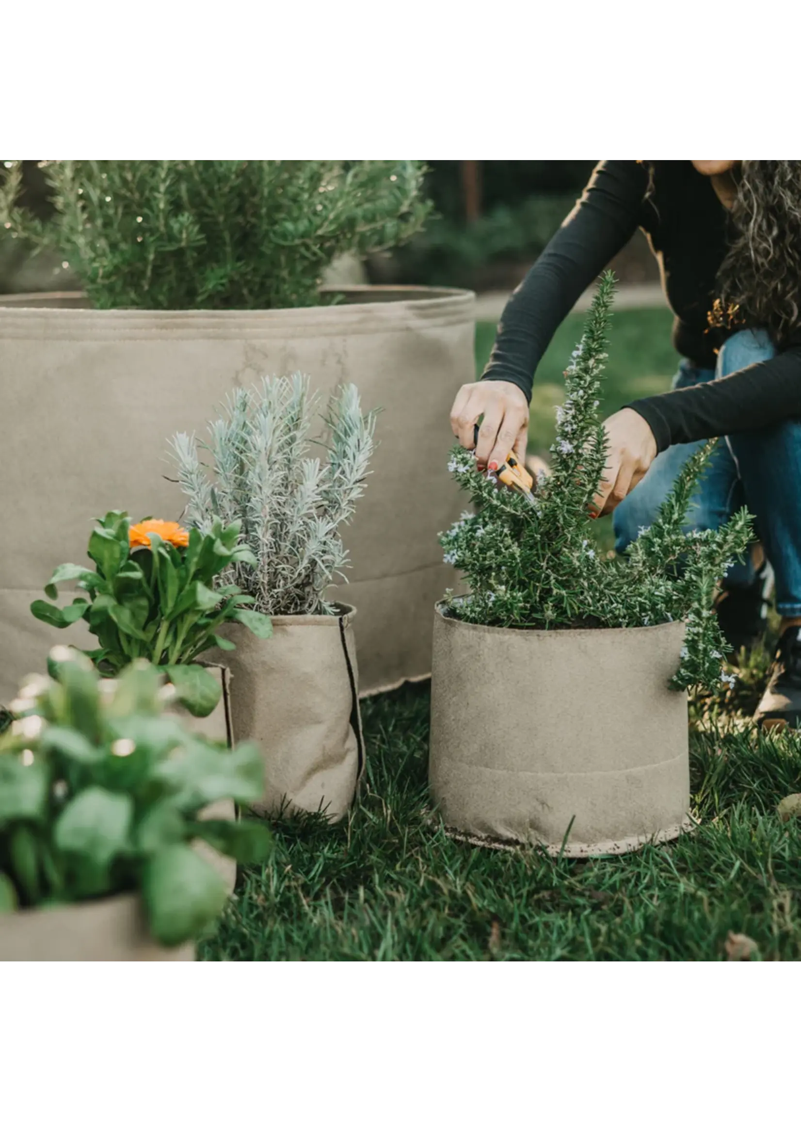 Grassroots Grassroots Living Soil Fabric Pots with Liner