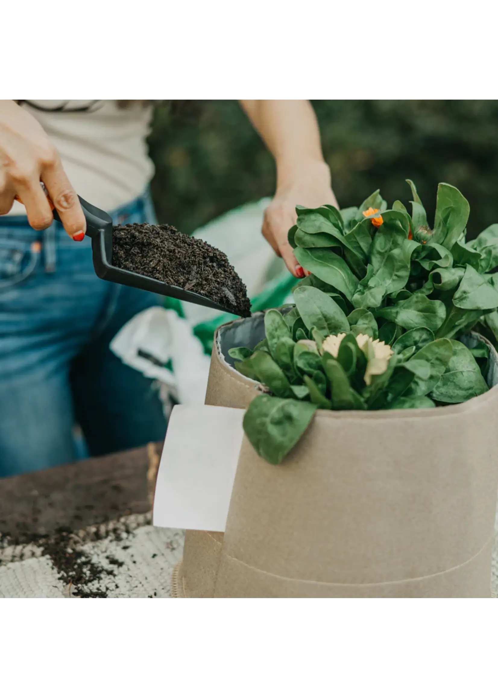 Grassroots Grassroots Living Soil Fabric Pots with Liner