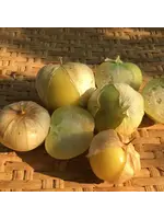 Redwood Seeds Tomatillo Verde Organic