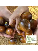 Redwood Seeds Tomato - Magic Bullet Organic