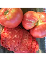 Redwood Seeds Tomato - Brandywine Organic