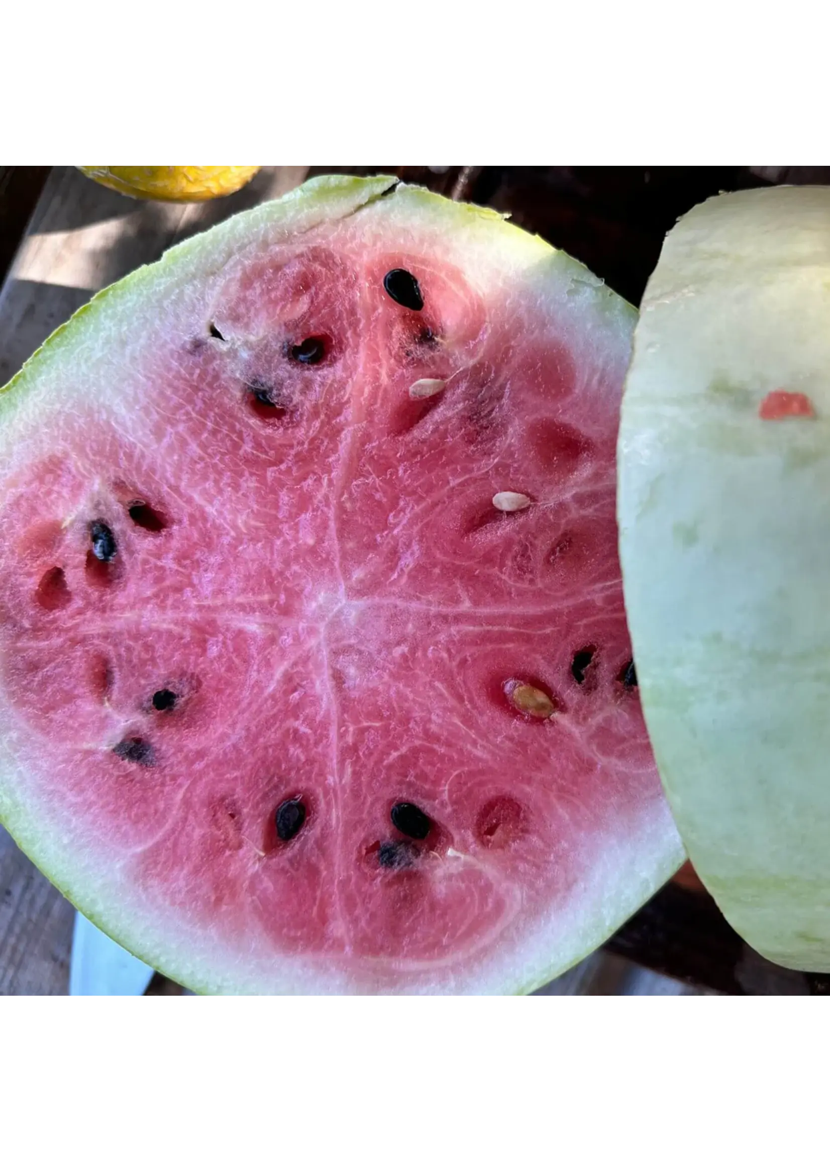 Redwood Seeds Watermelon - Christmas Organic
