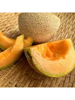 Redwood Seeds Melon - Mountain Honey Organic