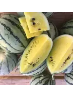Redwood Seeds Watermelon - Early Moonbeam Organic