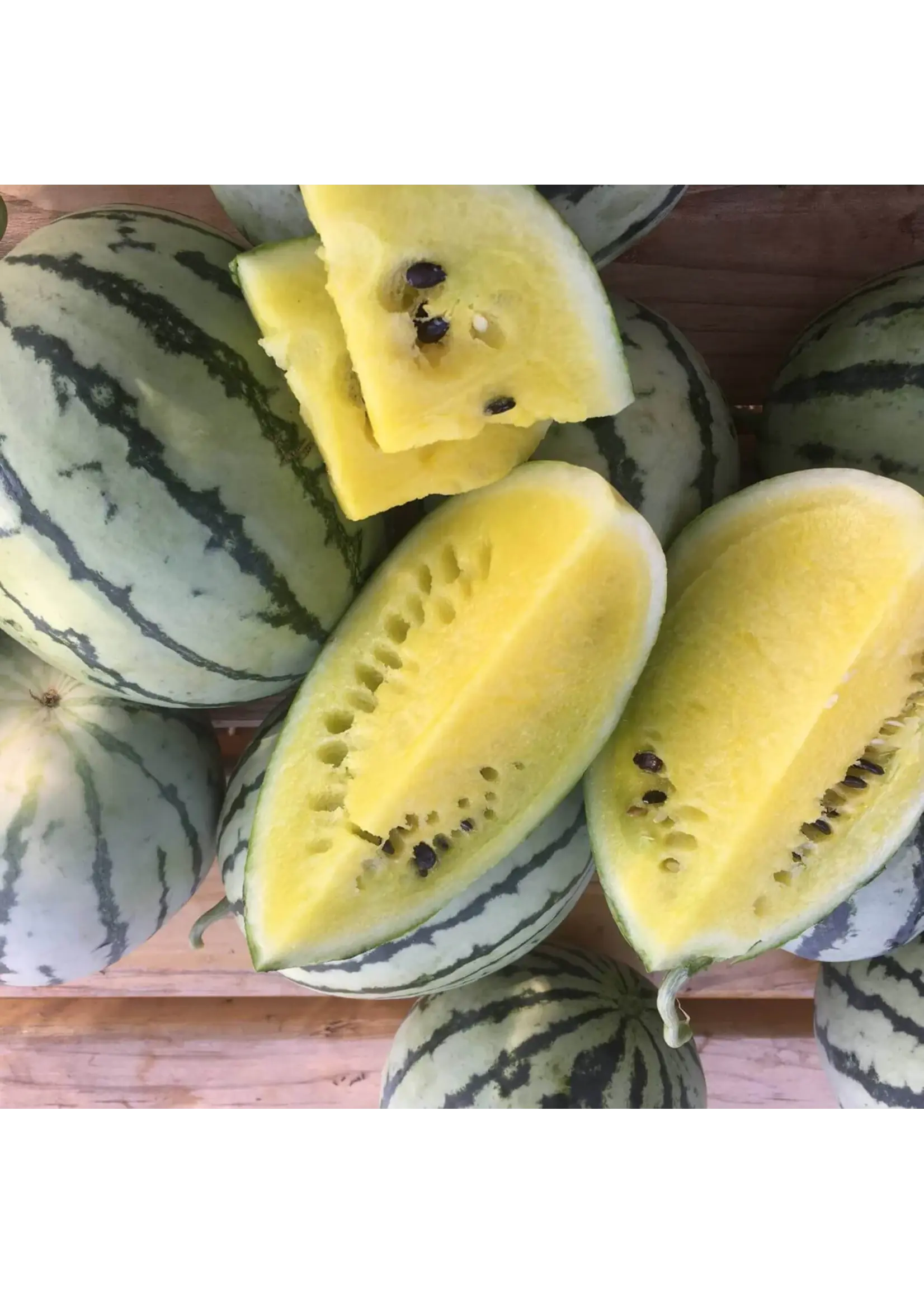 Redwood Seeds Watermelon - Early Moonbeam Organic