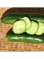 Redwood Seeds Cucumber - Persian Organic