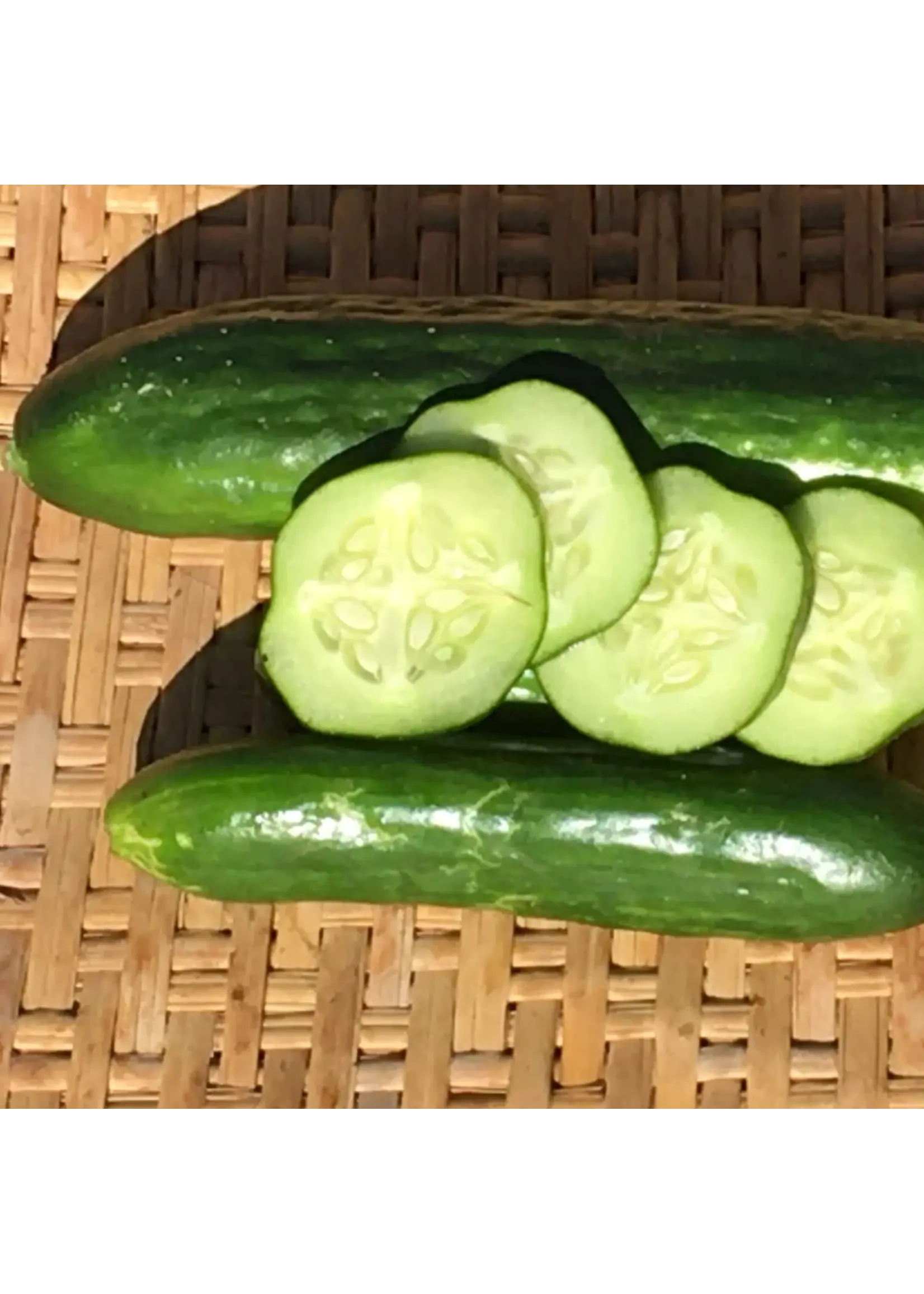 Redwood Seeds Cucumber - Persian Organic