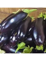 Redwood Seeds Eggplant - Diamond Organic