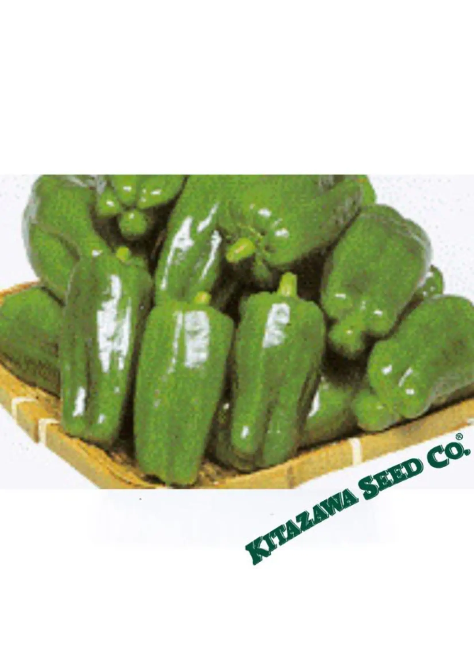 Kitazawa Seed Co. Sweet Pepper Hybrid - Tender Bell F1