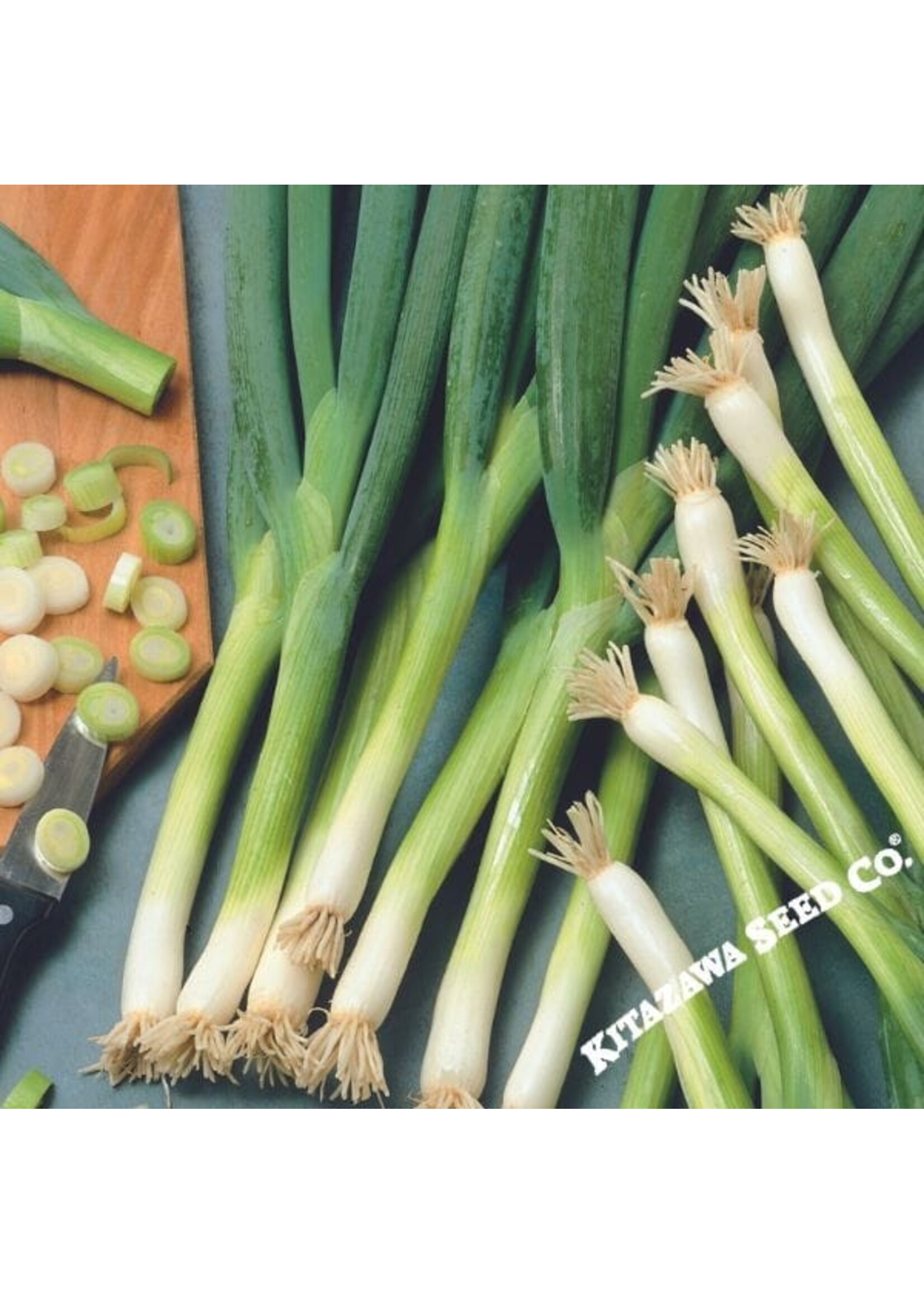 Kitazawa Seed Co. Bunchine Onion - White Ishikura Organic