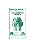 Kitazawa Seed Co. Chinese Cabbage - Pagoda 70