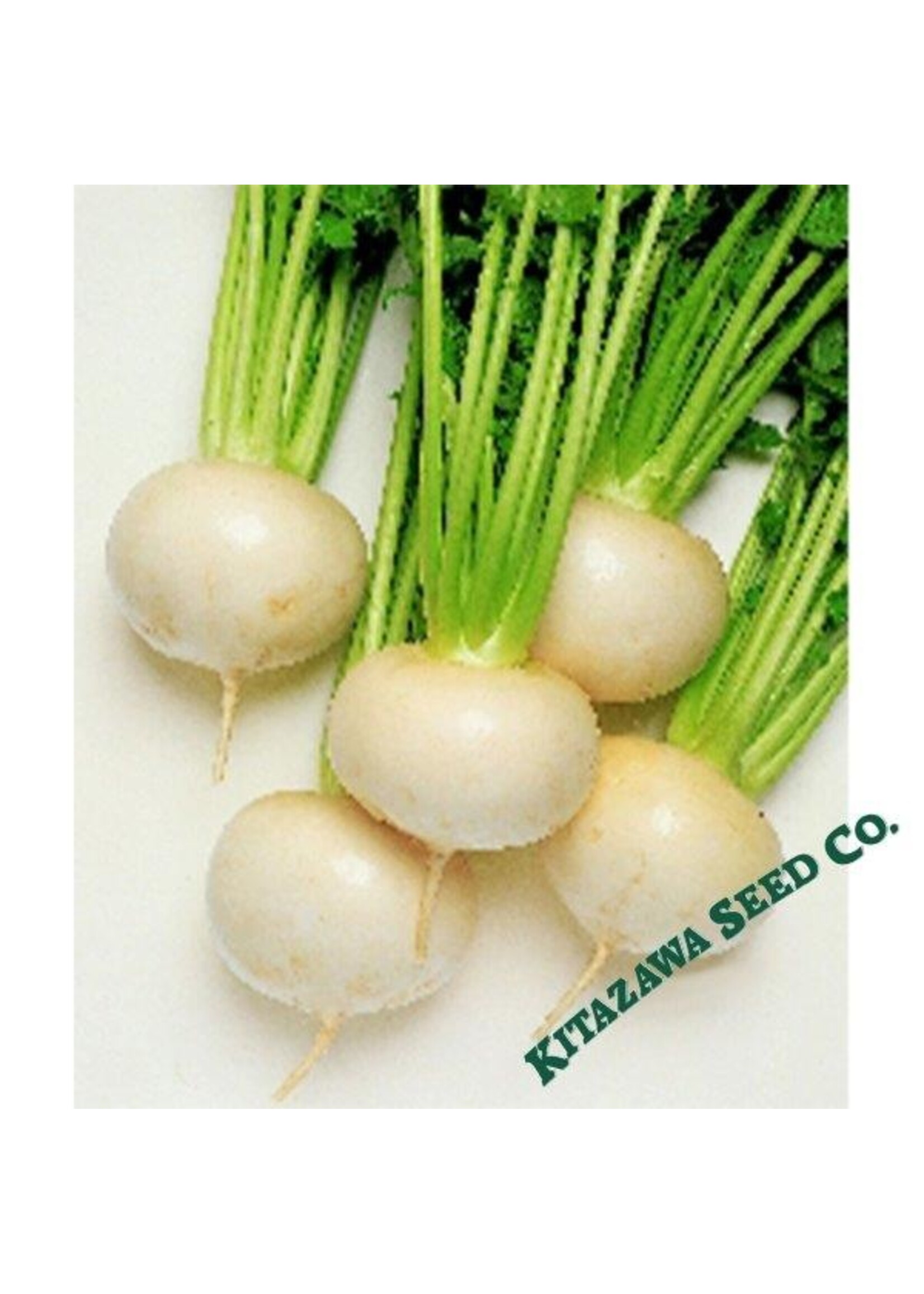 Kitazawa Seed Co. Turnip - Japanese Tokyo Cross Hybrid