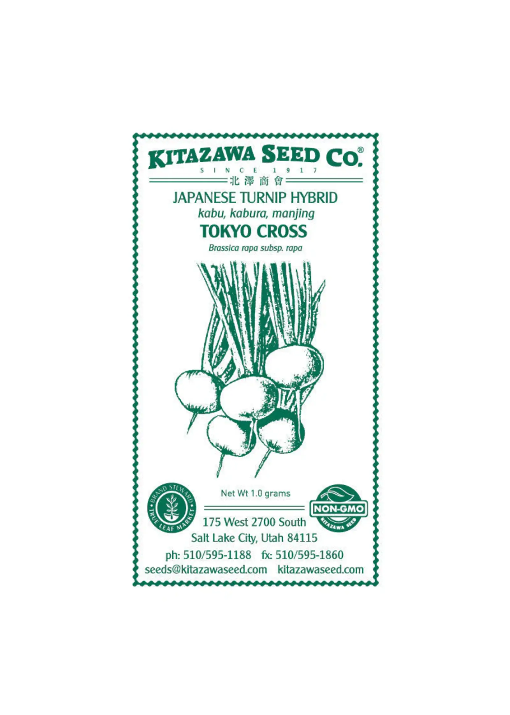 Kitazawa Seed Co. Turnip - Japanese Tokyo Cross Hybrid