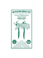 Kitazawa Seed Co. Eggplant - Shoya Long Hybrid