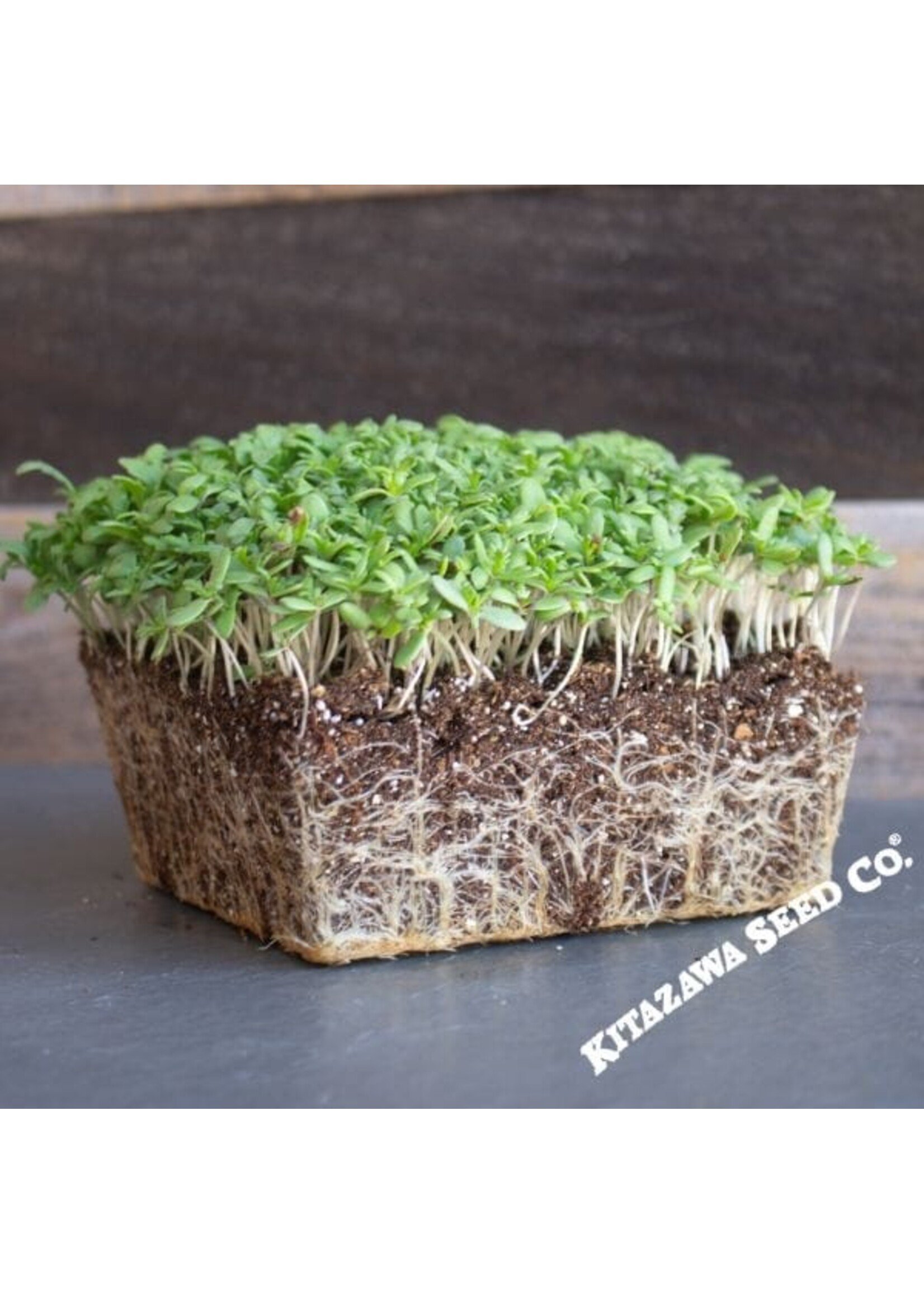 Kitazawa Seed Co. Shungiku - 3 Color Daisy - Microgreens