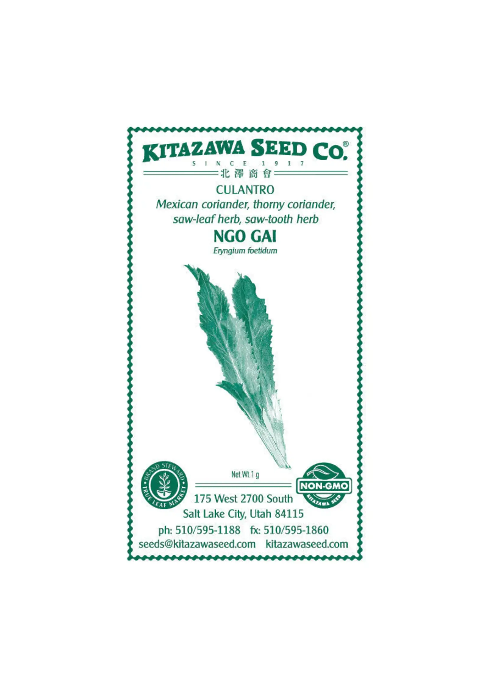 Kitazawa Seed Co. Culantro Ngo Gai Mexican Coriander