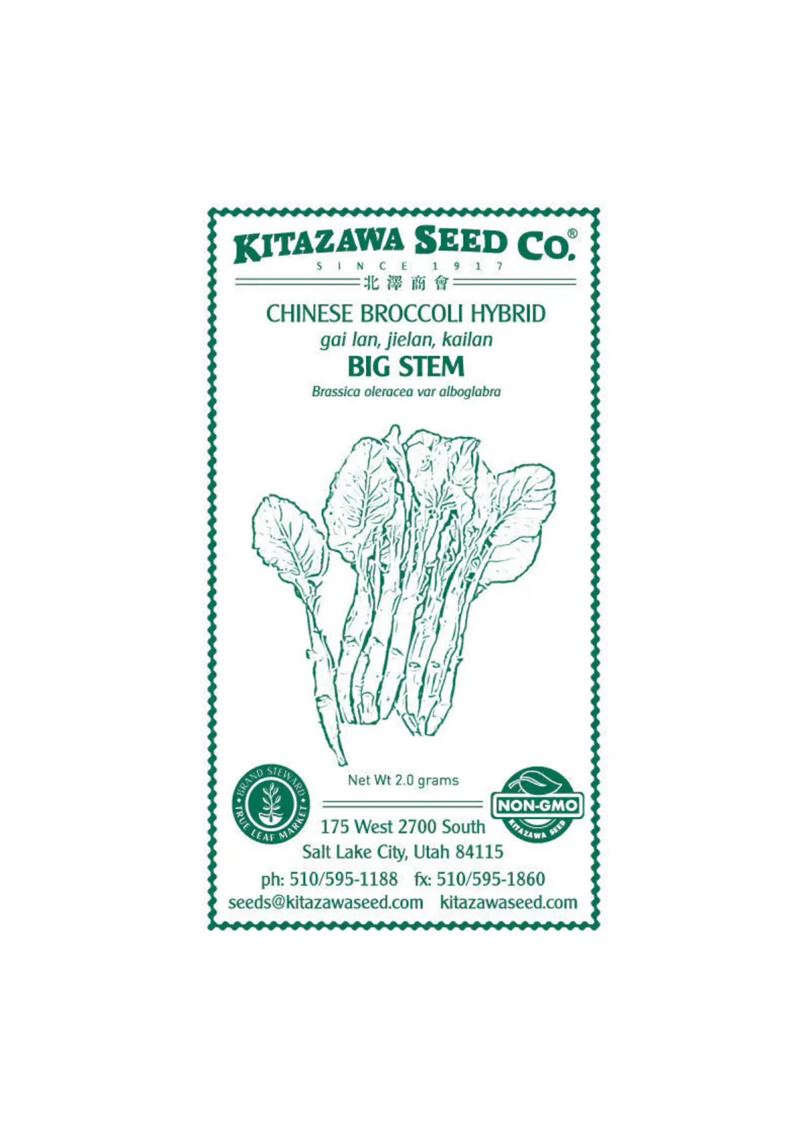 Kitazawa Seed Co. Chinese Brocolli Hybrid - BIG STEM