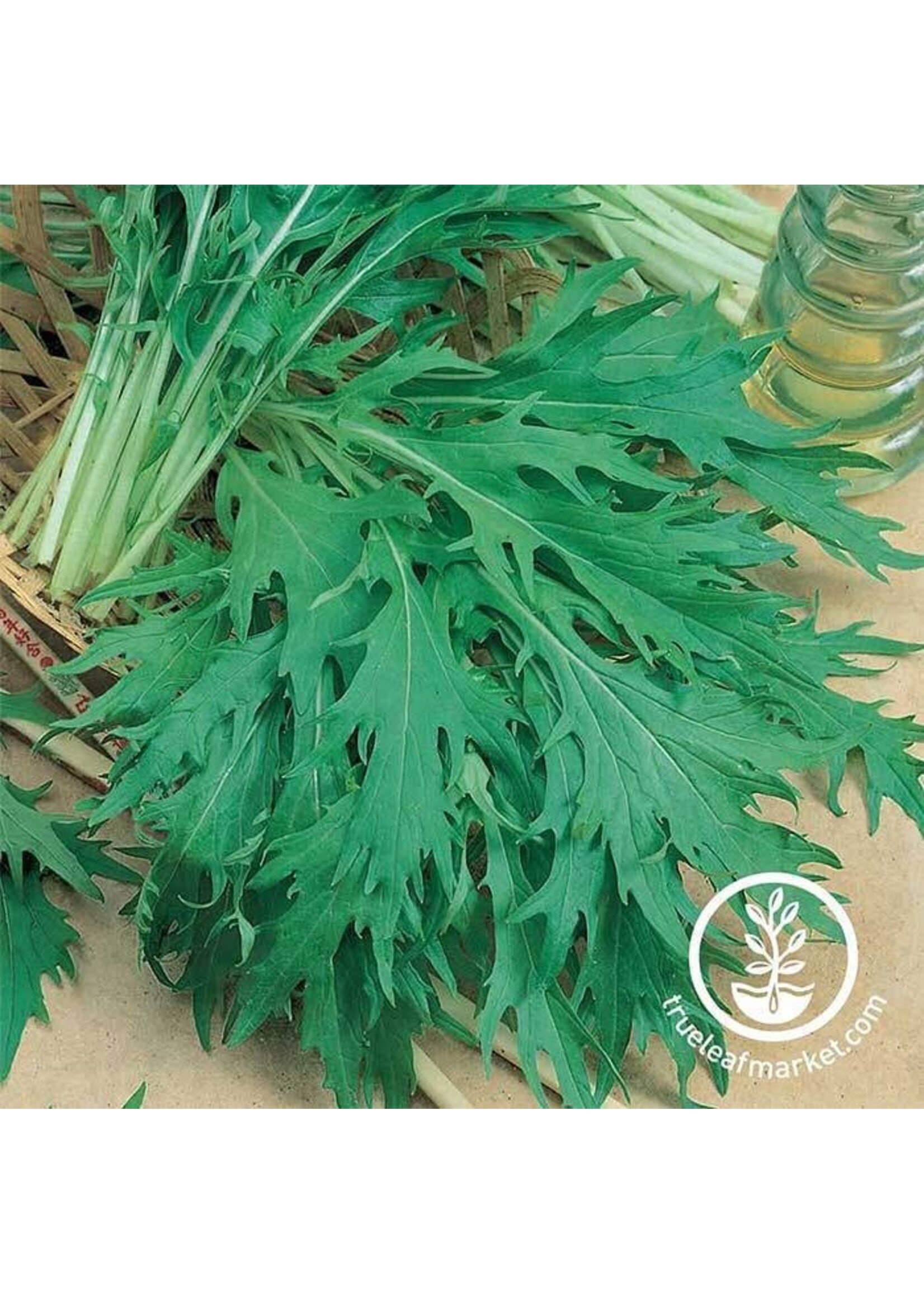 Kitazawa Seed Co. Mustard - Mizuna