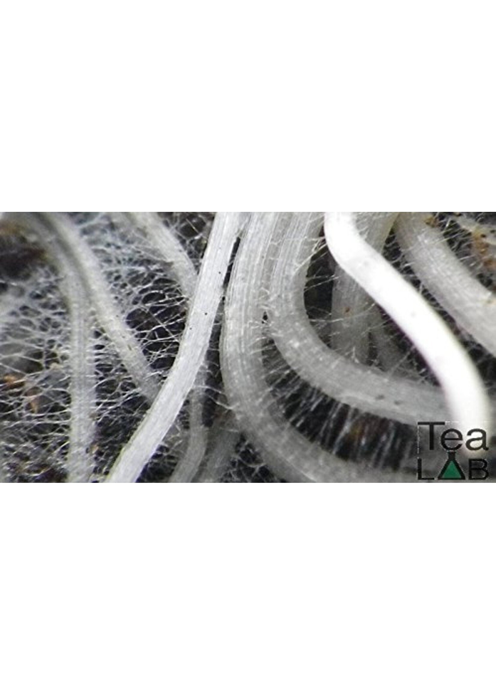 tealab Five:Two  Soluble Humic Acid & Kelp Extract Blend 1LB