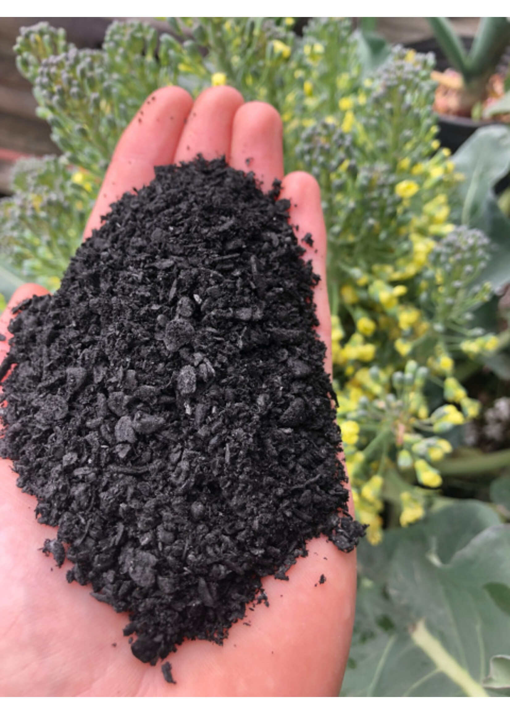 tealab TeaLab Pacific Biochar 1CF