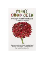 Plant Good Seed Company Zinnia - Benary's Giant Coral Organic