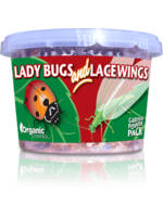 Organic Control 500 Ladybugs and 1000 Lacewing Eggs