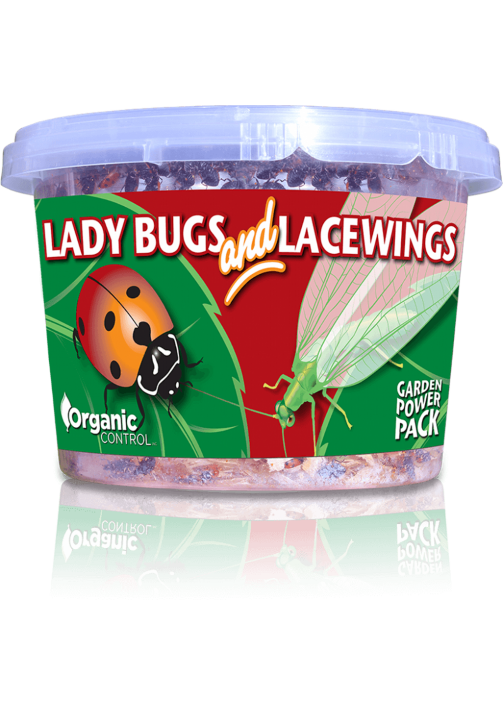 Organic Control 500 Ladybugs Lady Bug and 1000 Lacewing Eggs