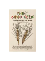 Plant Good Seed Company Wheat - Black Eagle Spring Organic