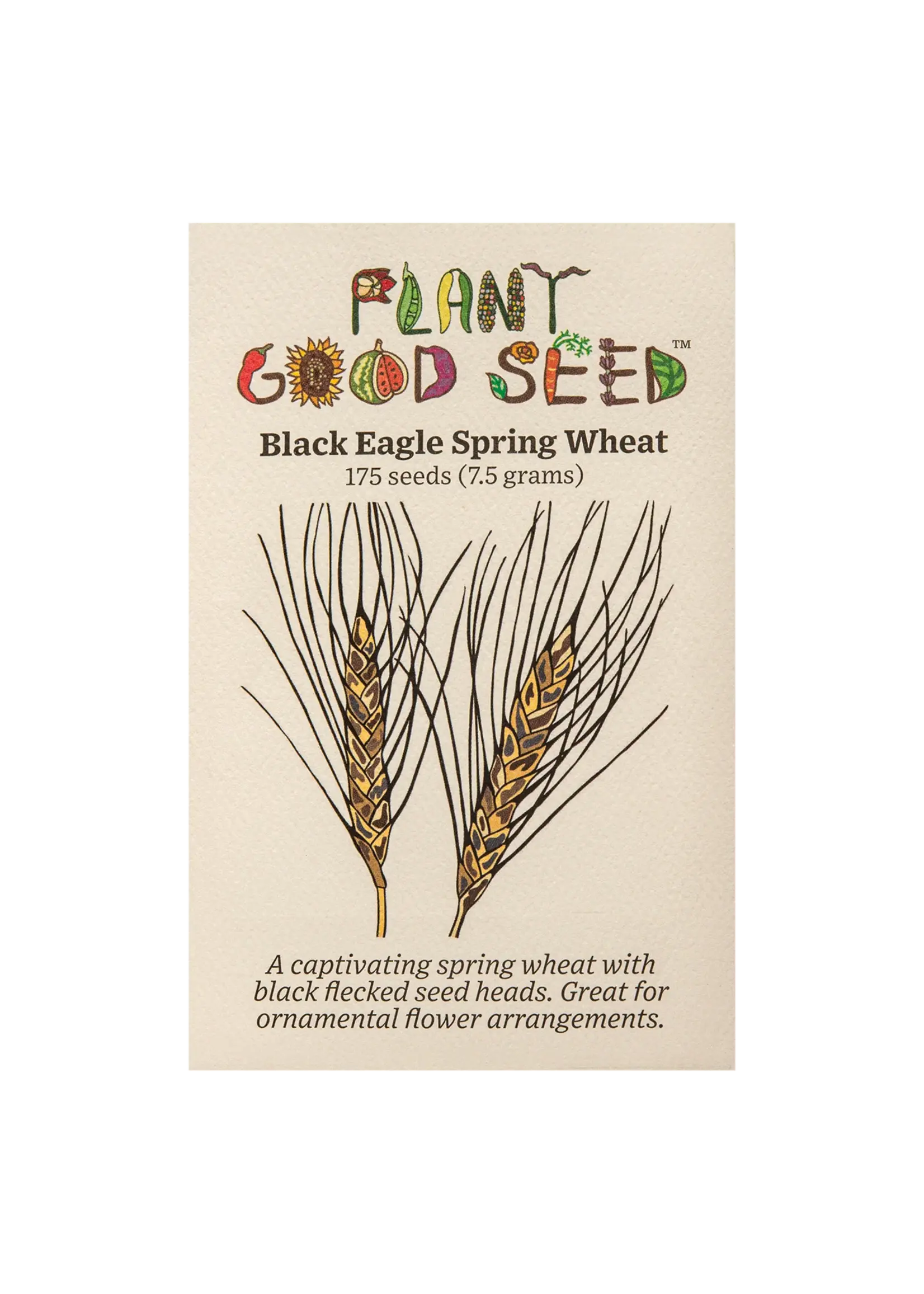 Plant Good Seed Company Wheat - Black Eagle Spring Organic