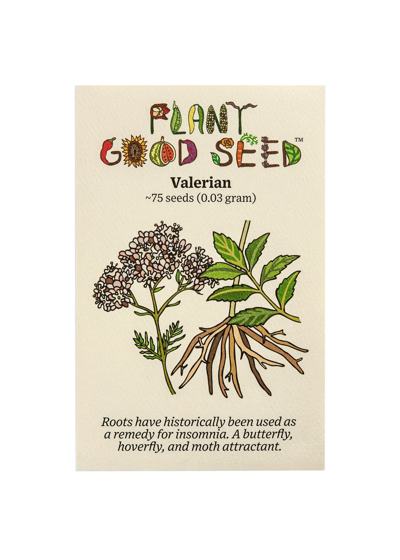 Plant Good Seed Company Valerian - Official Organic