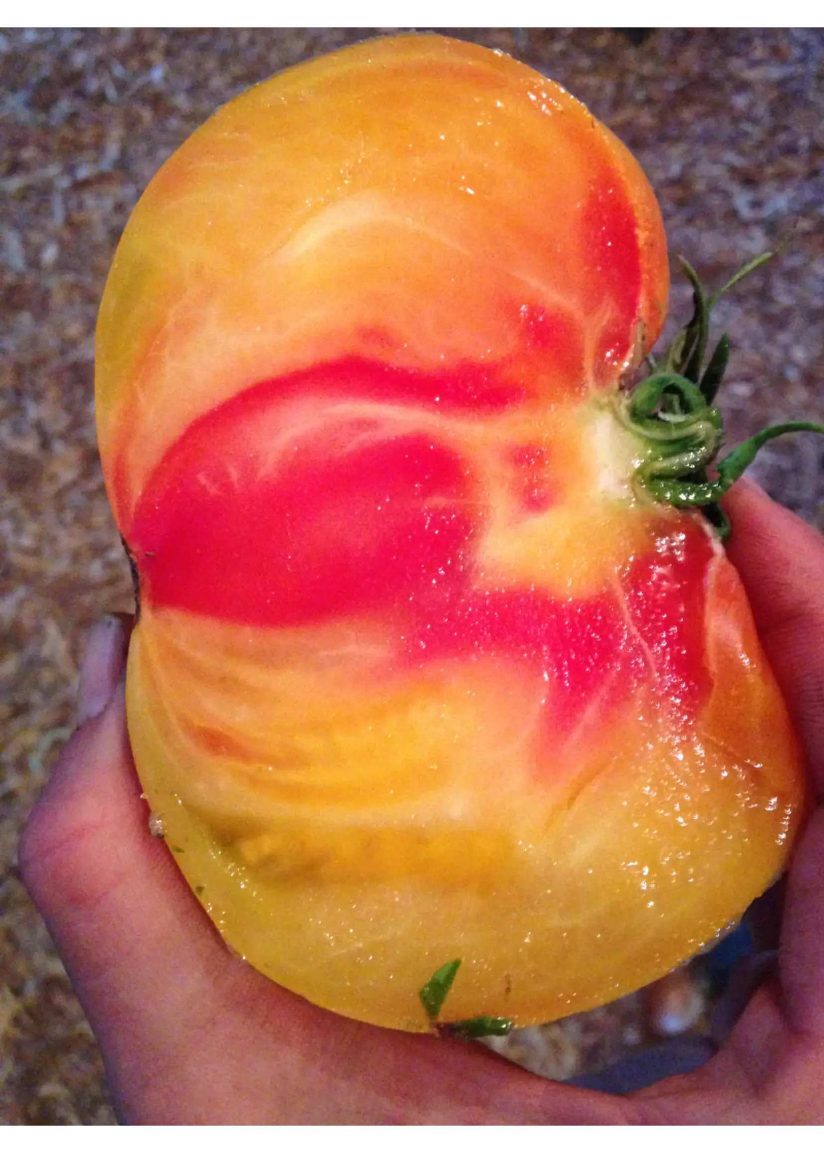 Plant Good Seed Company Tomato - Painted Ukrainian Organic