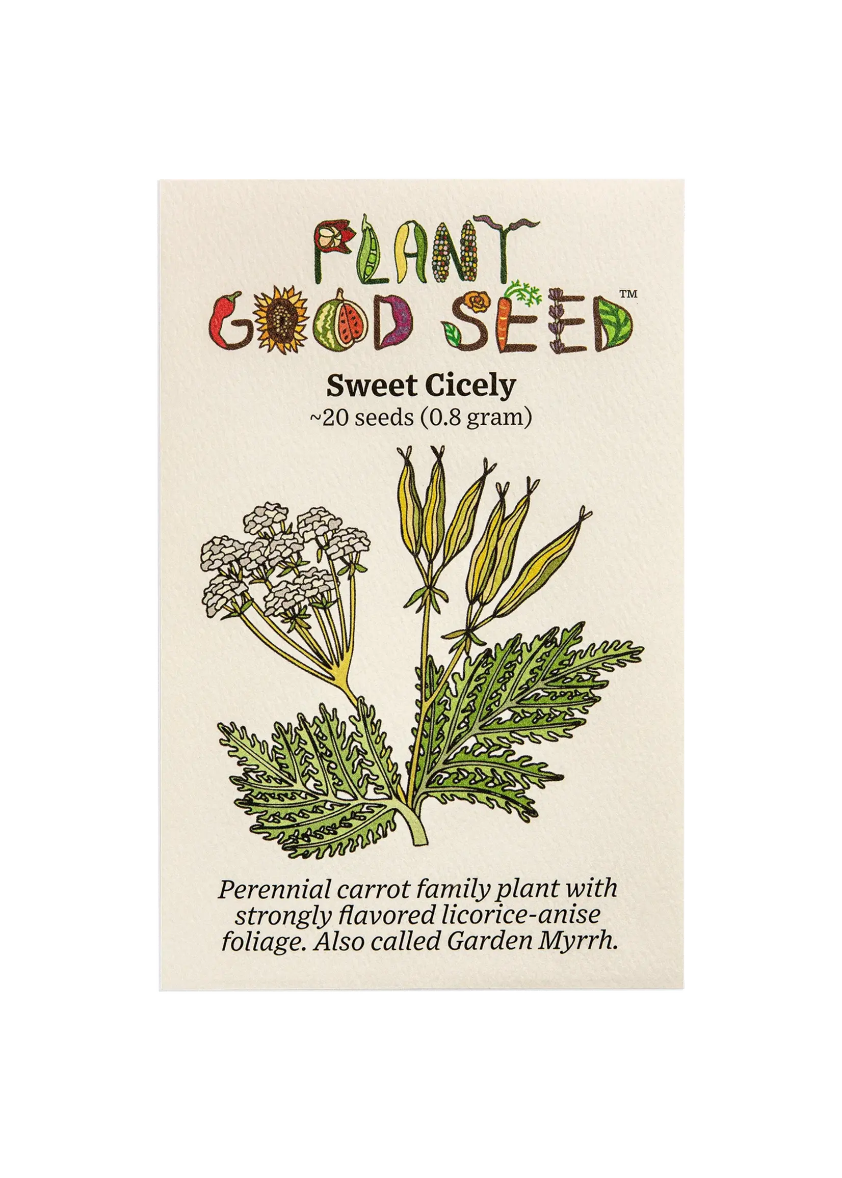 Plant Good Seed Company Sweet Cicely