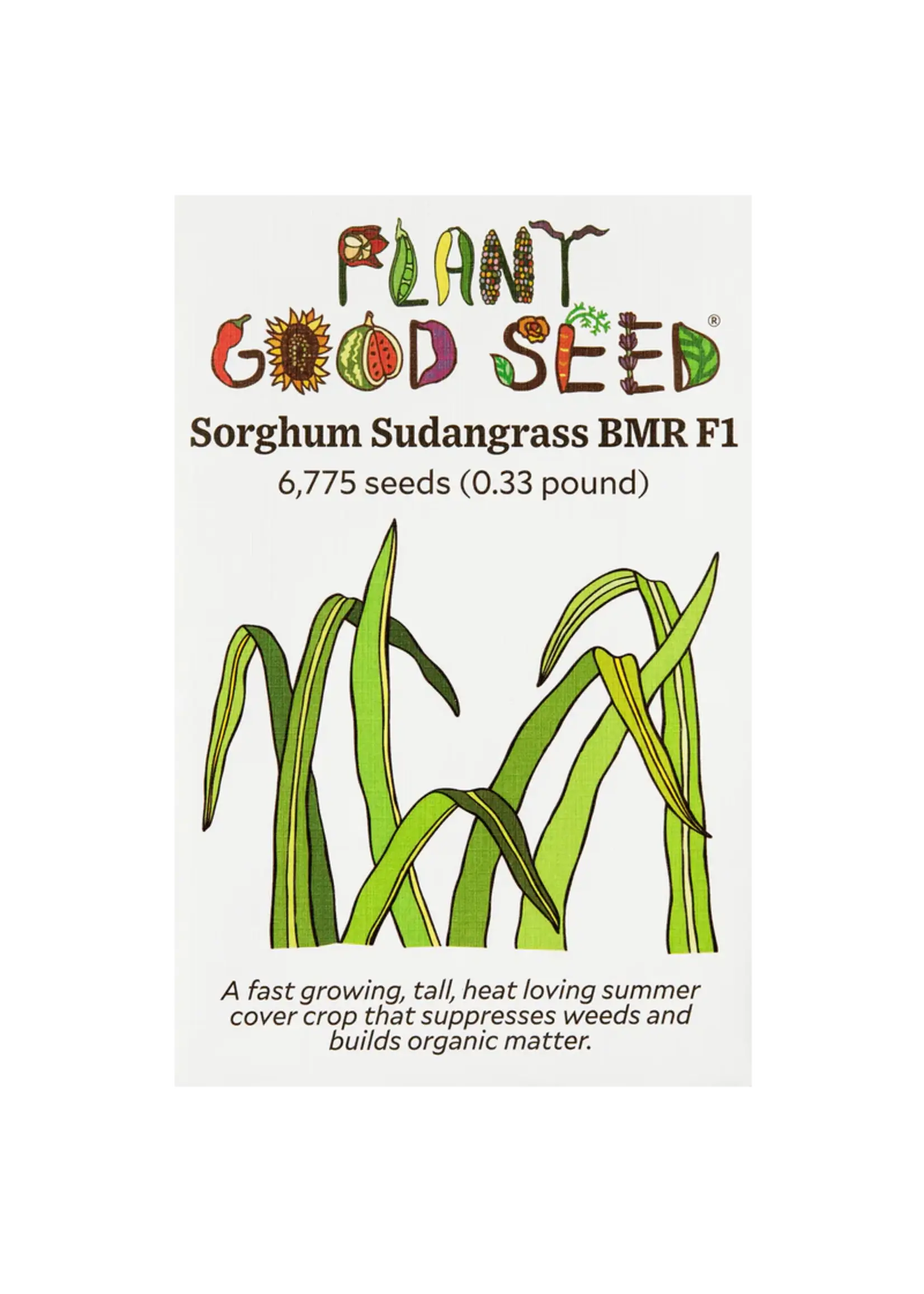 Plant Good Seed Company Sorghum Sudangrass BMR F1 Organic
