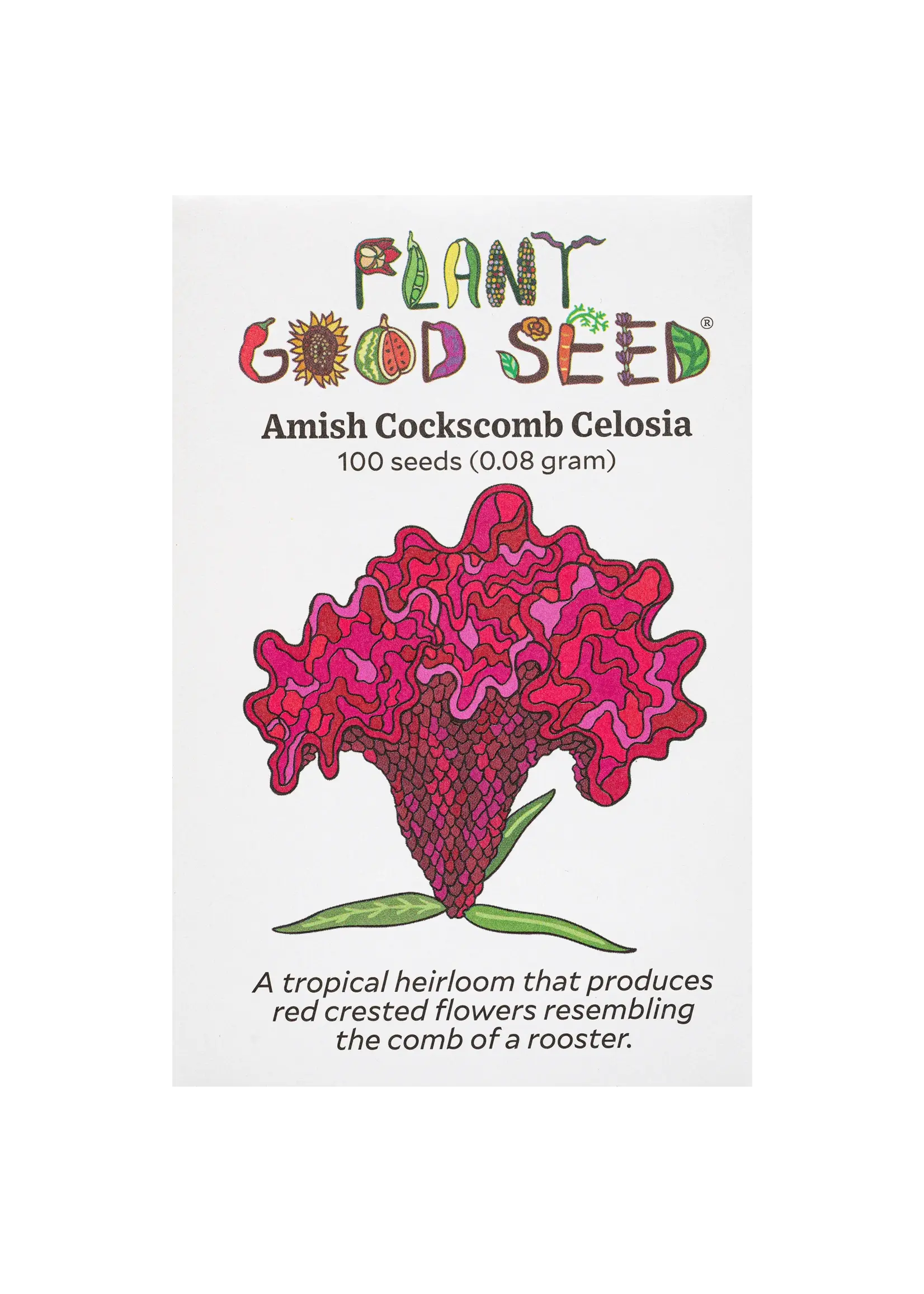 Plant Good Seed Company Celosia - Amish Cockscomb Organic