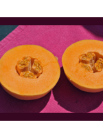 Quail Seeds Melon - Huerfano Bliss
