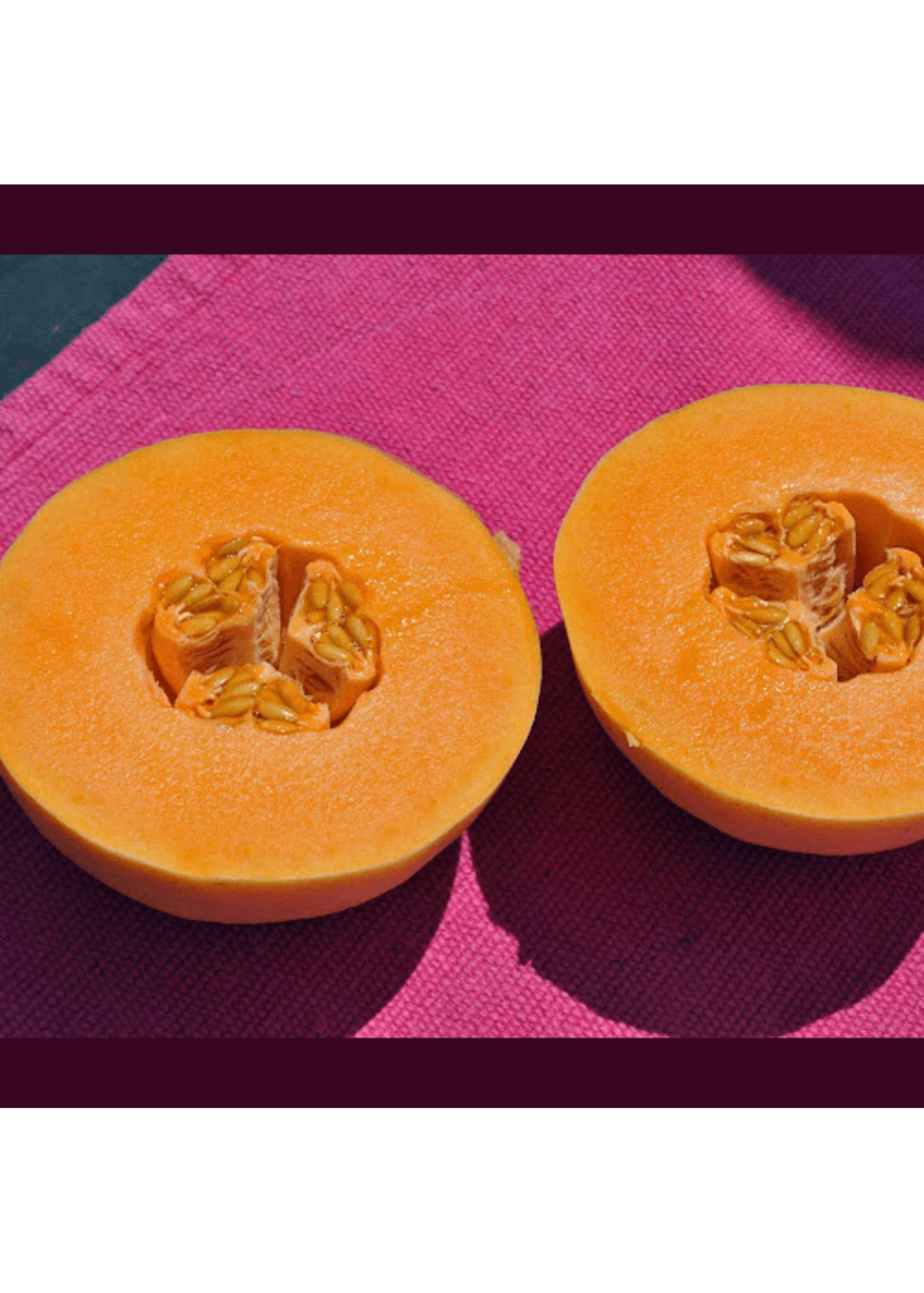 Quail Seeds Melon - Huerfano Bliss