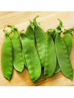 Quail Seeds Pea - Snow Oregon Giant