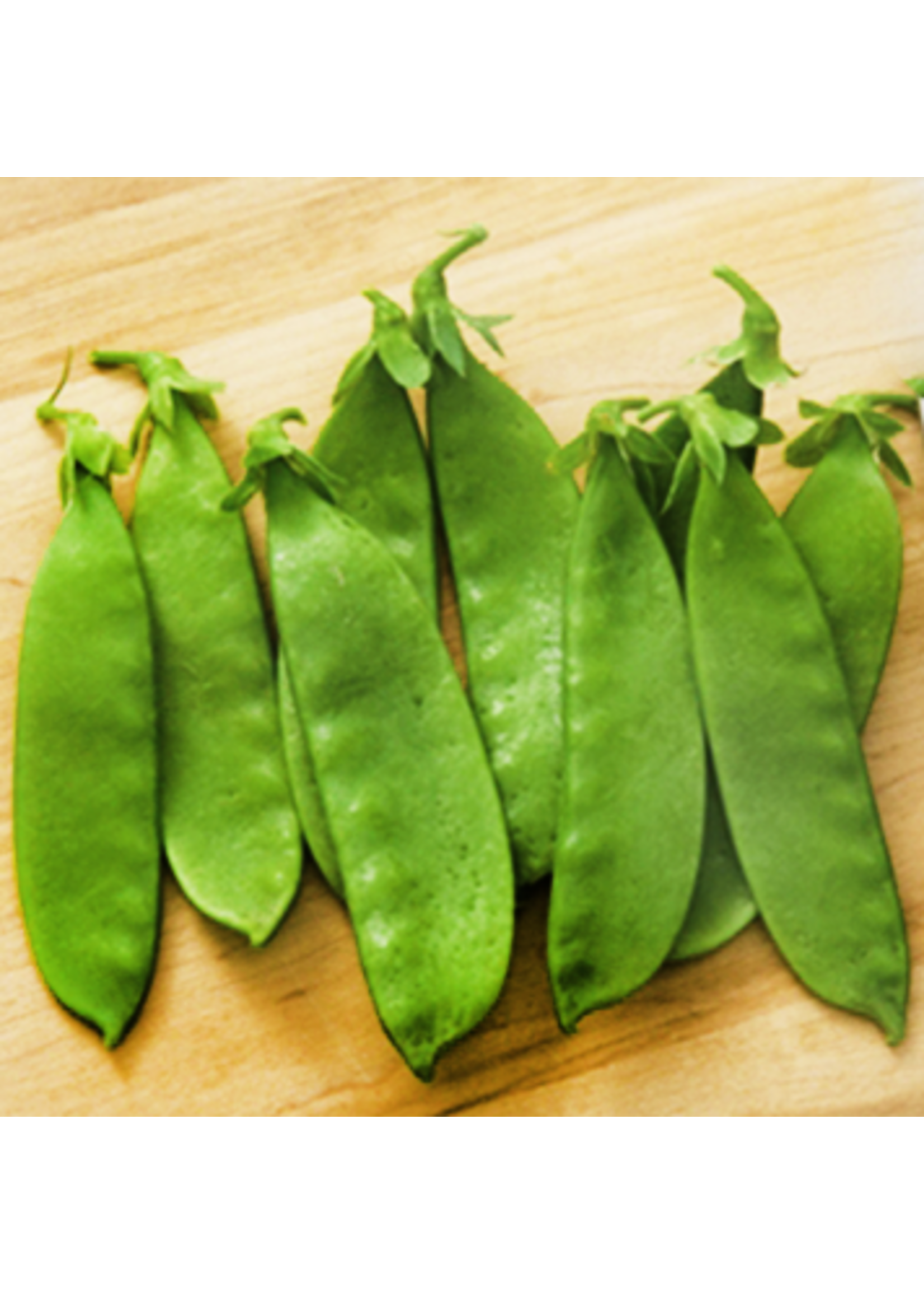 Quail Seeds Pea - Snow Oregon Giant