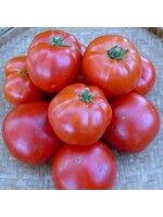 Quail Seeds Tomato - Siletz Determinate