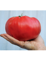 Quail Seeds Tomato - Brandywine Quail Seeds