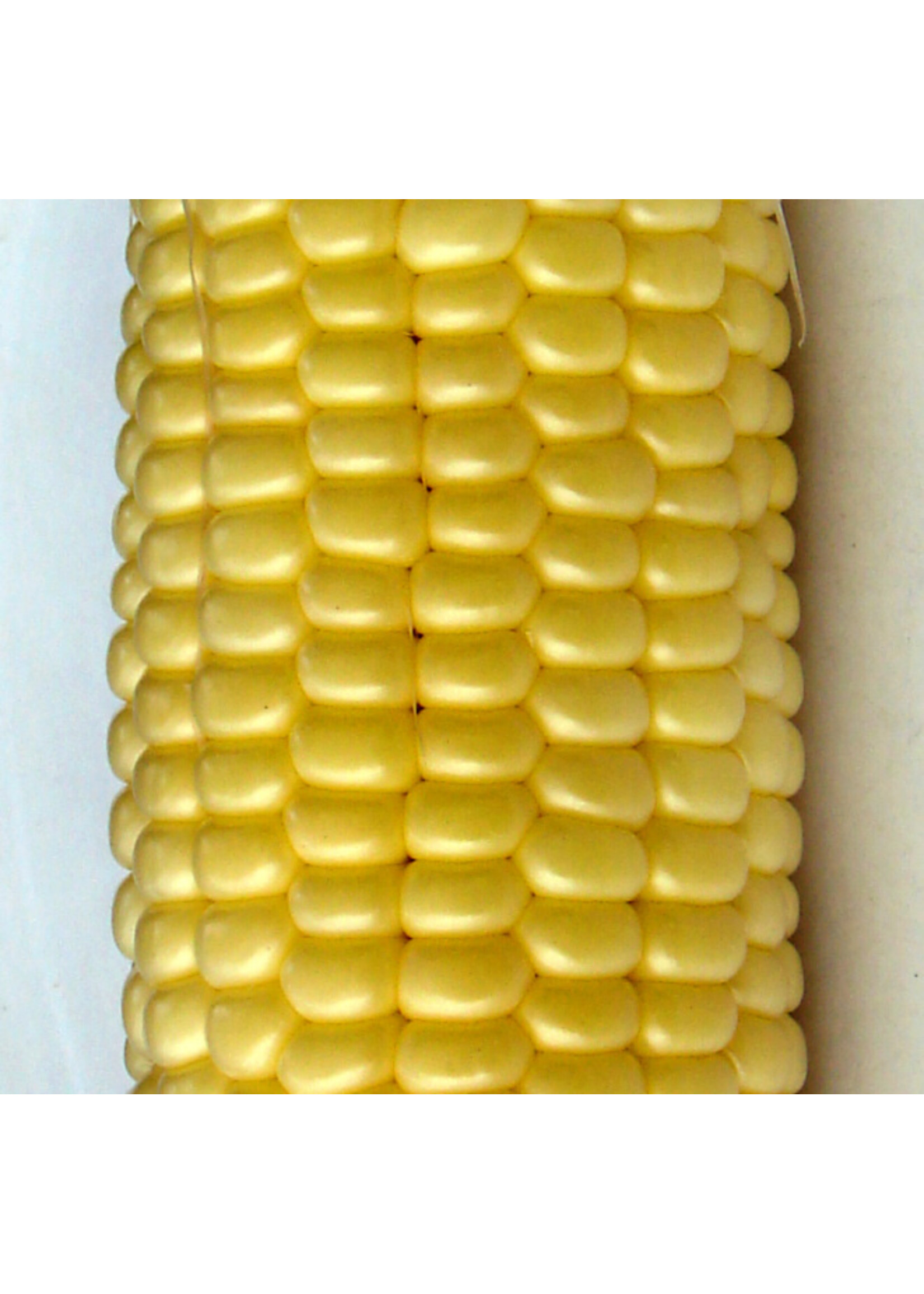 Quail Seeds Corn - Sweet Top Hat