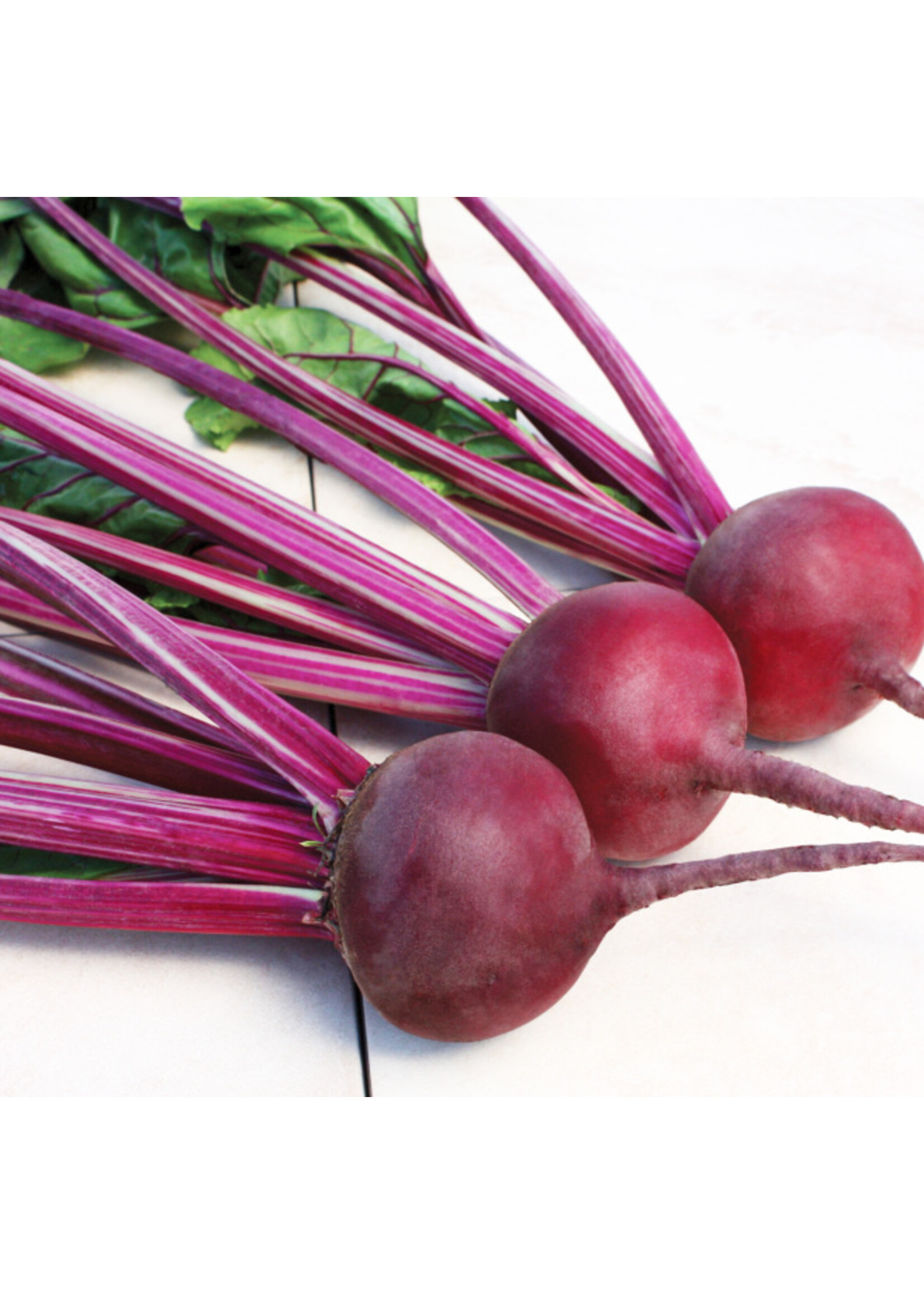 Quail Seeds Beet - Early Wonder Talltop