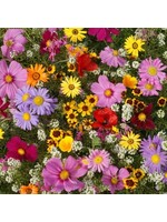 Quail Seeds Pest Fighting Annual Flower Mix Attract Pollinators and Predators