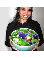 Quail Seeds Spring Salad Mix - Quail Seeds